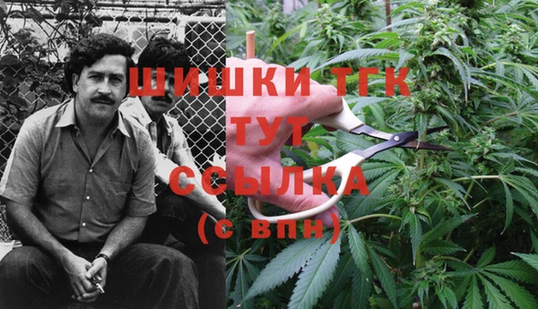 COCAINE Анжеро-Судженск